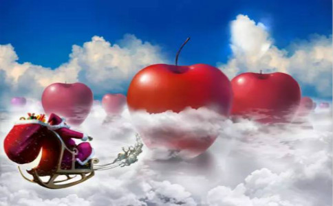 1577151043813105.jpg 2017121240511425.jpg