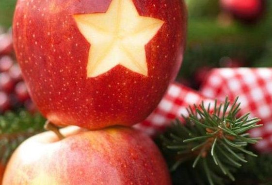 1577151078905639.jpg t01a7ea7bb1bfe29632.jpg